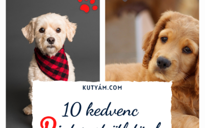 10 kedvenc Pinterest ötletünk